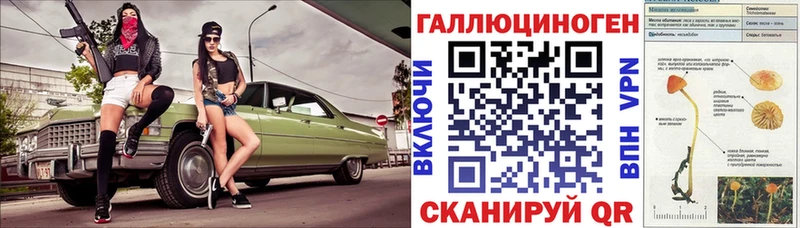 hydra ссылки  Сковородино  Псилоцибиновые грибы мицелий 
